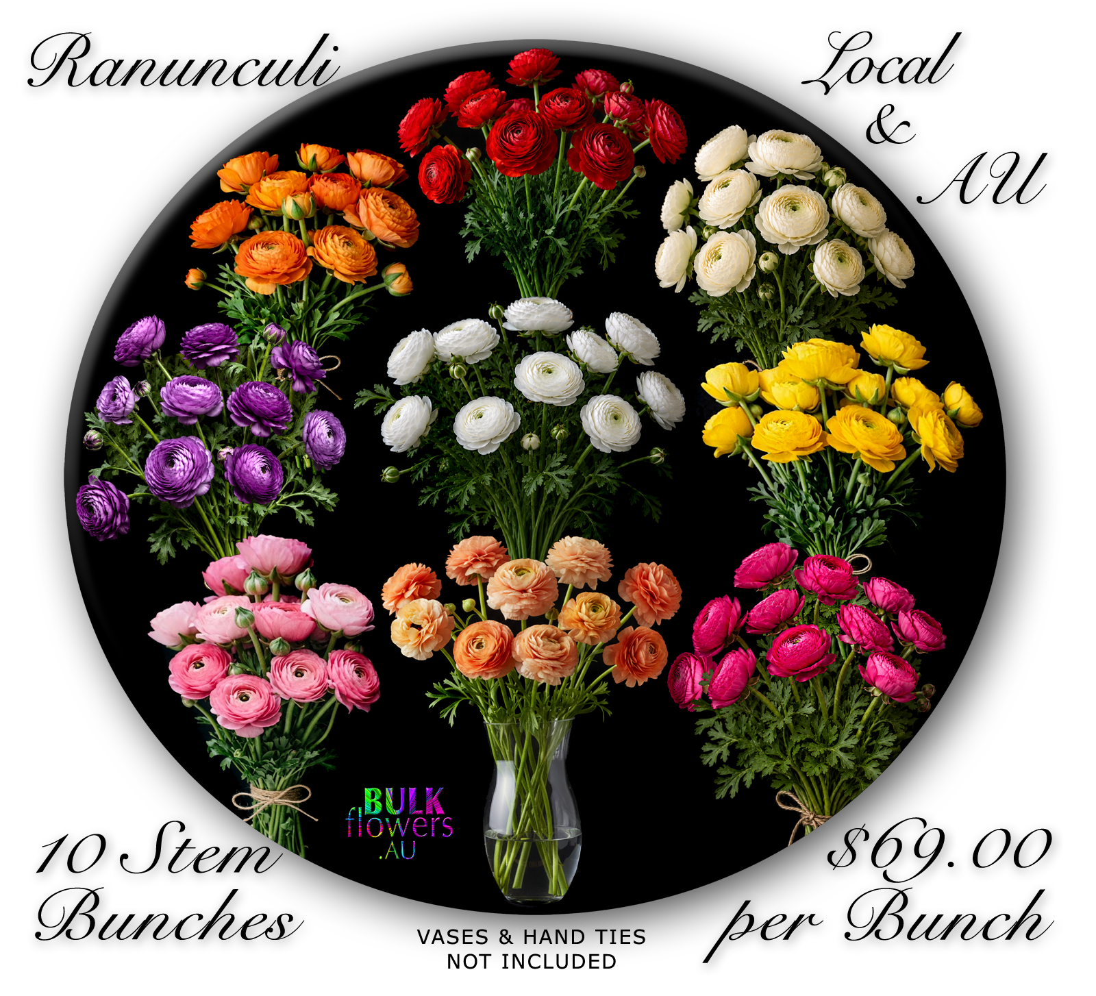 BULK FLOWERS RANUNCULUS